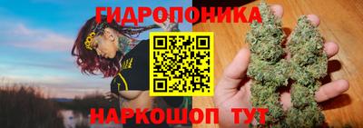 мдпв Кинель