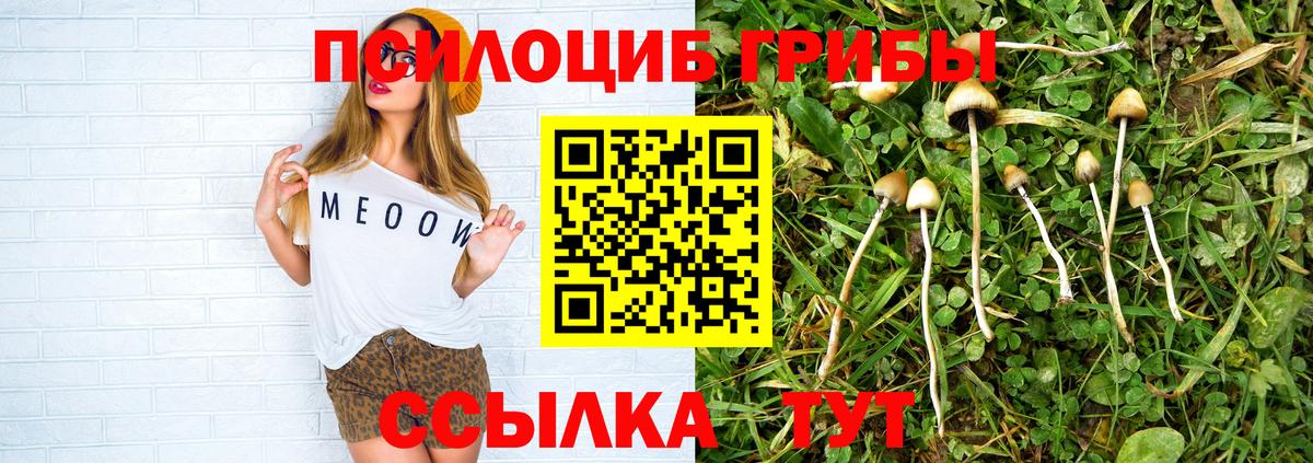 Псилоцибиновые грибы мухоморы  Вход с VPN  Конаково 