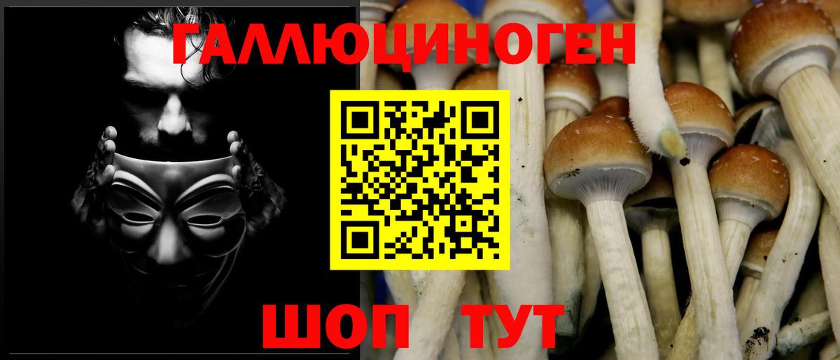 Псилоцибиновые грибы Magic Shrooms Конаково