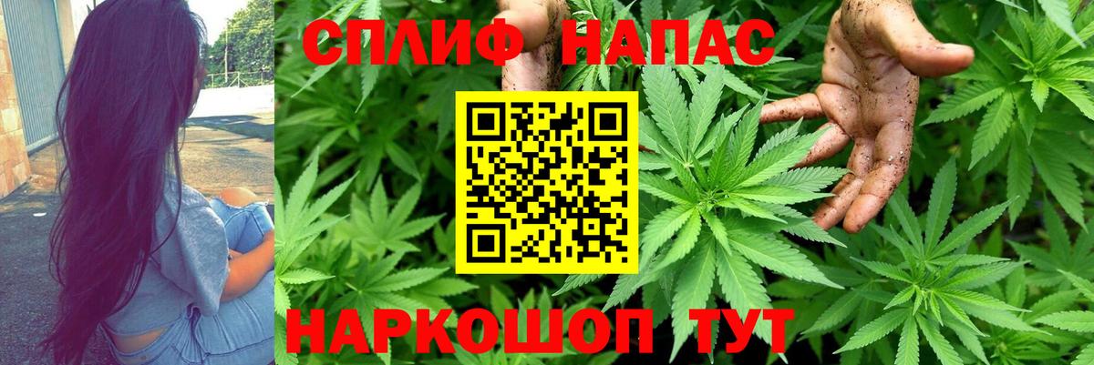 Конаково  Марихуана сатива  Марихуана семена  Вход с VPN  Бошки Шишки сатива  Бошки Шишки OG Kush 